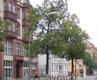 Wollankstraße