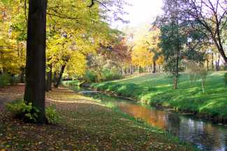 Bürgerpark