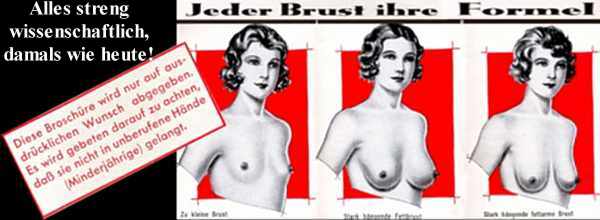 wissenschaftliche Broschüre aus Pankow