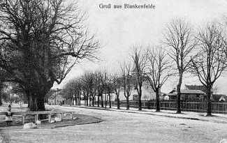 Blankenfelde