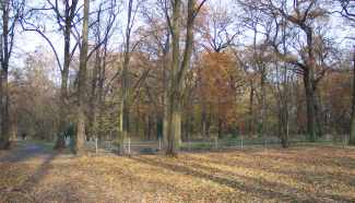 Waldfriedhof