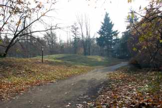 Schönholzer Heide