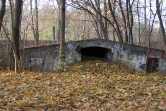 Schönholzer Heide
