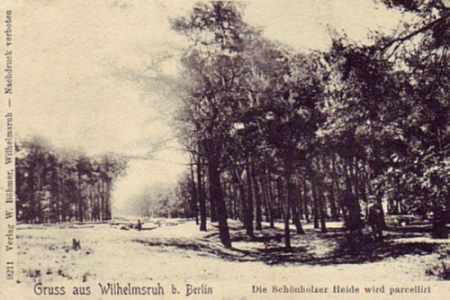 Schönholz