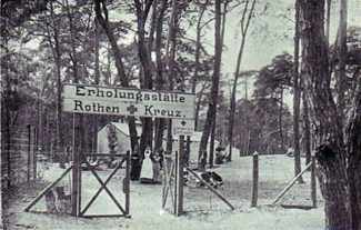 Schönholz