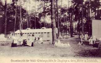 Schönholz