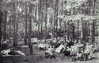 Schönholz