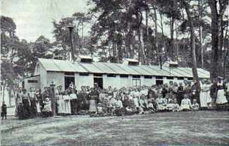 Schönholz