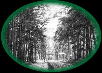 Schönholz