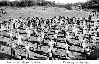 Schönholz