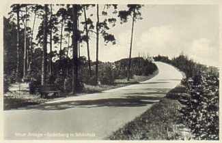 Schönholz